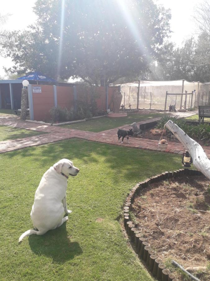 Culdesac Guesthouse Oudtshoorn Luaran gambar